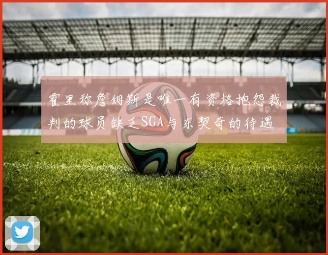 霍里称詹姆斯是唯一有资格抱怨裁判的球员缺乏SGA与东契奇的待遇