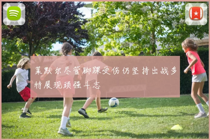 莱默尔尽管脚踝受伤仍坚持出战多特展现顽强斗志
