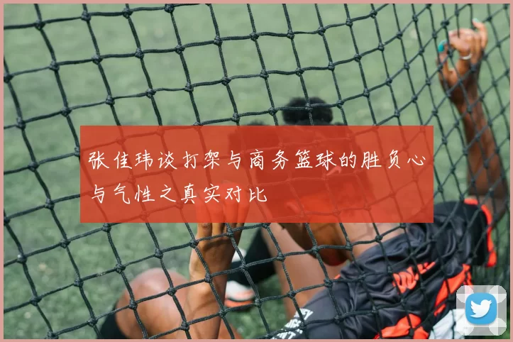 张佳玮谈打架与商务篮球的胜负心与气性之真实对比